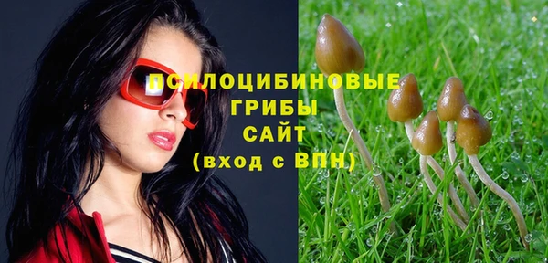 прущая мука Карпинск