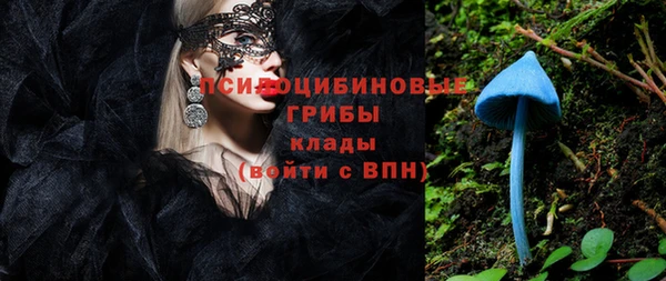 спиды Касимов