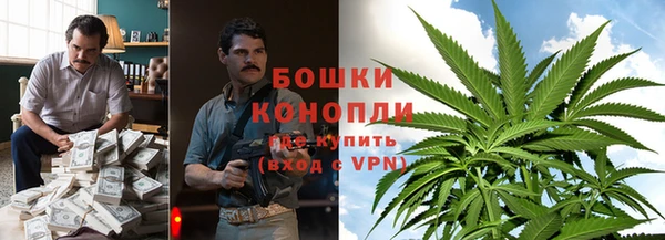 спиды Касимов