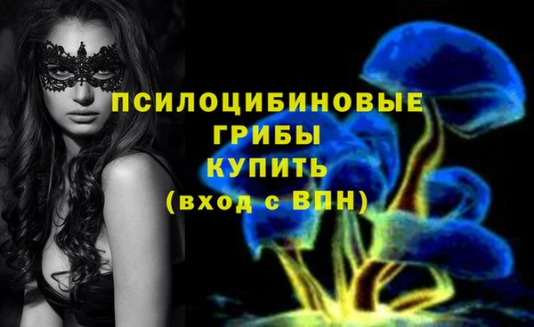 прущая мука Карпинск