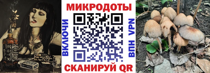 даркнет сайт  Славск  МЕГА онион  Псилоцибиновые грибы прущие грибы 